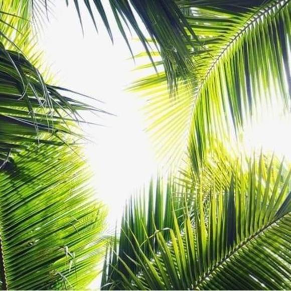 Meet your Posher, Rudy - Picture 1 of 1